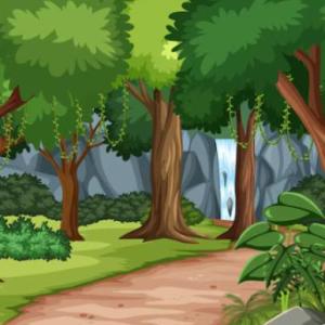 El bosque encantado