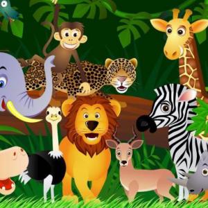 ANIMALS IN THE JUNGLE