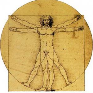 Conociendo el cuerpo humano