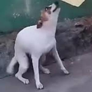 Lo que no se