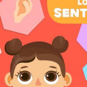 Los Organos de los Sentidos