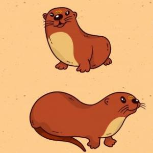 NUTRIA DE RIO