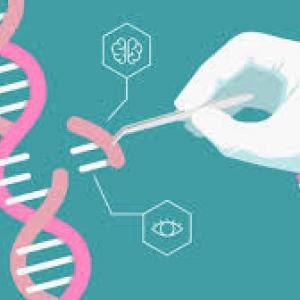Imagen de portada del videojuego educativo: Manipulación genética, de la temática Biología