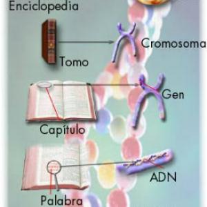 Imagen de portada del videojuego educativo: IMPORTANCIA DEL ADN, de la temática Biología