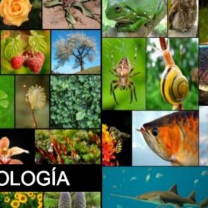 Biología