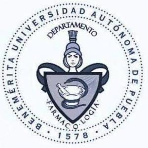 Memorara de Biomodelo