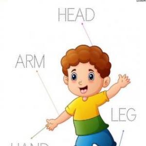 Memotest Body Parts