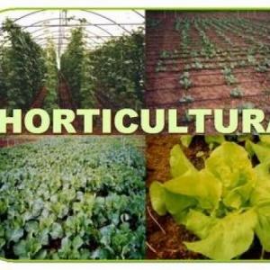 introducción a la horticultura