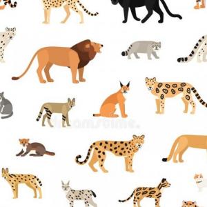 felinos carnívoros