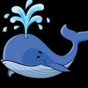 Les animaux marins