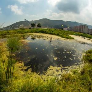 Descubre y aprende de los Humedales de Suacha