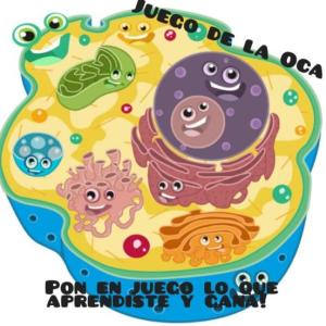 ¿Cuánto saben de la célula?