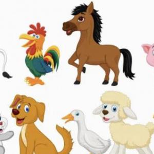 Animals 
