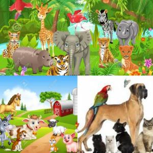 animales terrestres 