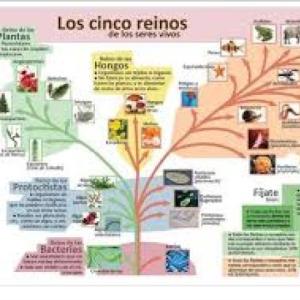 Reinos de la Ciencia