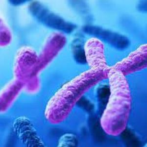 PROCESOS Y CAMBIOS EVOLUTIVOS EN LOS SERES VIVOS