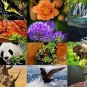 Ecosistemas