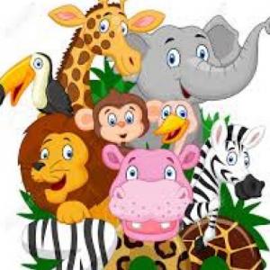 ANIMAL MEMORY