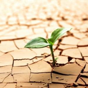 RESILIENCIA