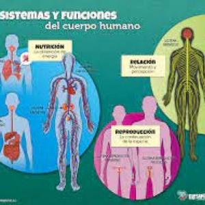 Conozcamos nuestro sistemas