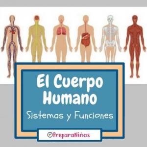 CONOZCAMOS NUESTRO CUERPO