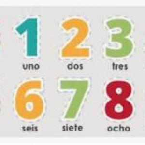 Números Principio 7 