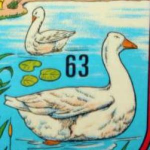 Portada del juego Unit 9 – Idiomas