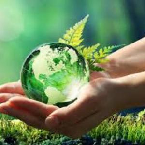 ¿Qué tanto sabes de la Norma ISO14001