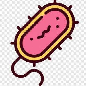 BACTERIAS GENERO BACILLUS Y CLOSTRIDIUM
