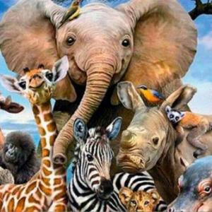 Los animales