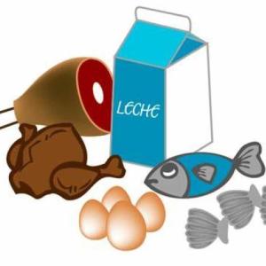 Alimentos