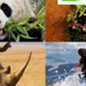 Trivia :AMBIENTE AEROTERRESTRE