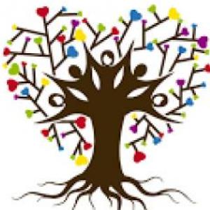 SOCIAL WORK