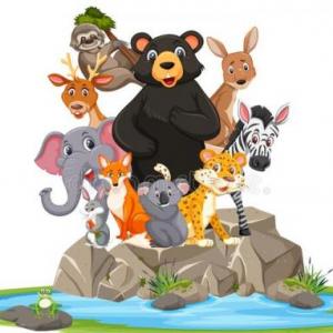 Animals