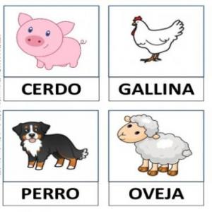 Animales mamíferos y ovíparos