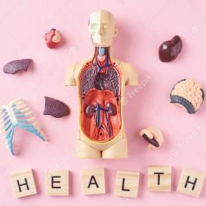 Salud y Anatomía