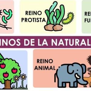 REINOS DE LA NATURALEZA