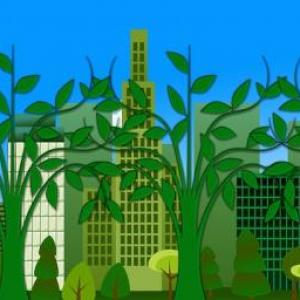 DEGRADACIÓN AMBIENTAL