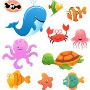 Animales marinos
