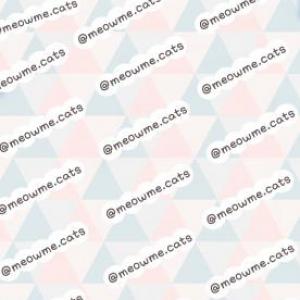 Portada del juego Memocats – Cultura general