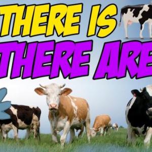 Present simple/ There is- There are