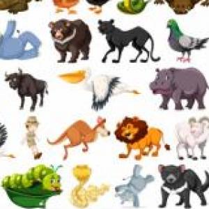 Imagen de portada del videojuego educativo: Animales salvajes , de la temática Ciencias