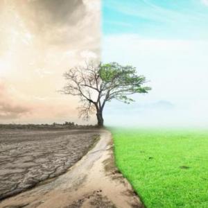 Oca de problemas medioambientales