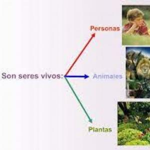 juego de memoria, LOS SERES VIVOS