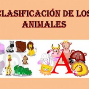 CLASIFICACIÓN DE ANIMALES