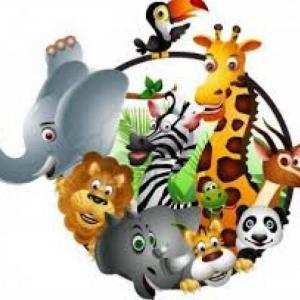 CLASIFICACIÓN DE ANIMALES