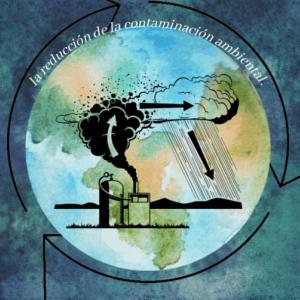 la contaminación ambiental