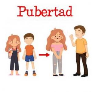 Pubertad y Sexualidad
