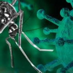 covidengue