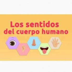 Me divierto con mis sentidos